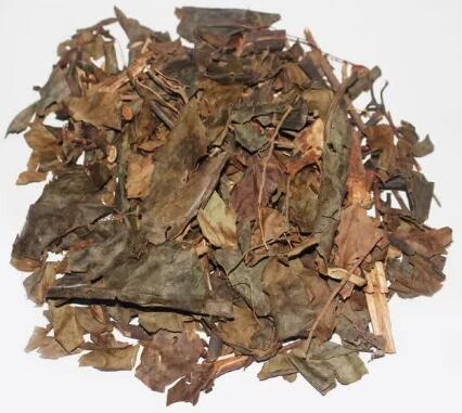 腫節風(草珊瑚) SARCANDRAE HERBA