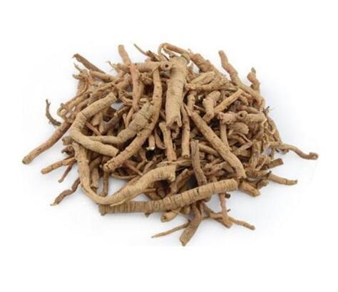 遠志 POLYGALAE RADIX