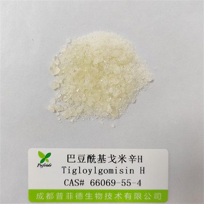 巴豆?；昝仔罤|66069-55-4