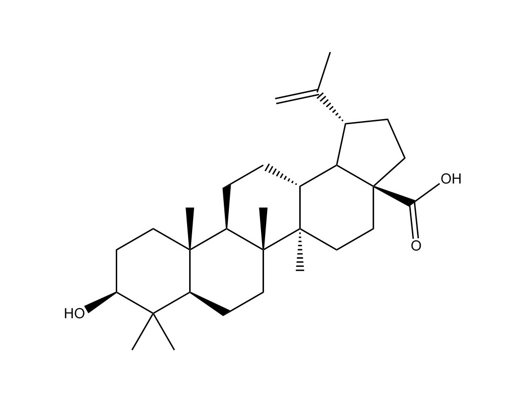 白樺脂酸|472-15-1