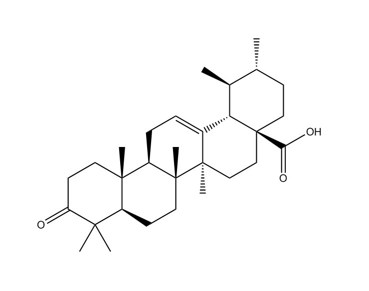 熊果酮酸|6246-46-4
