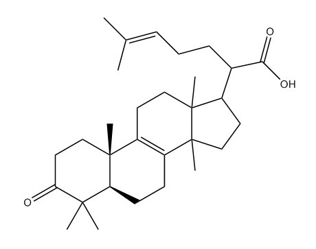 β-欖香酮酸|28282-25-9