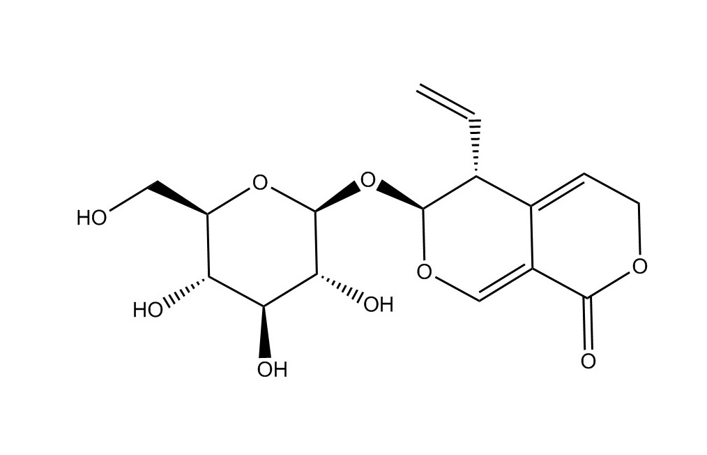 龍膽苦苷|20831-76-9