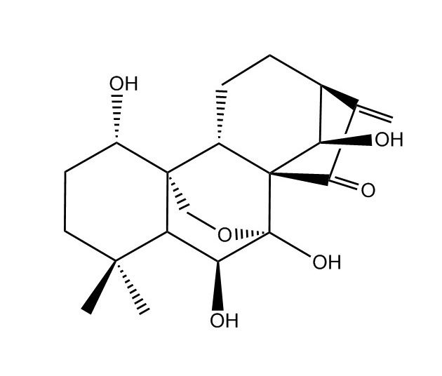 冬凌草甲素|28957-04-2