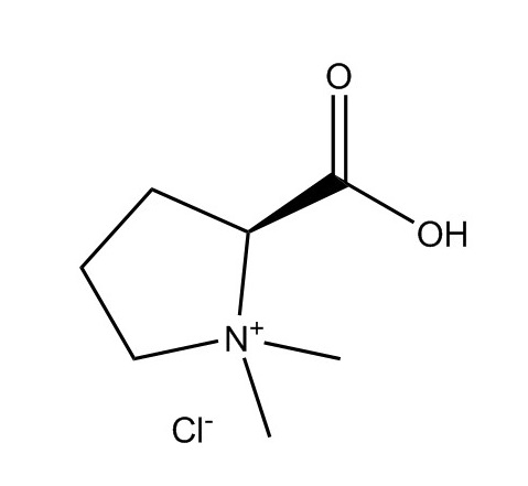 鹽酸水蘇堿|4136-37-2