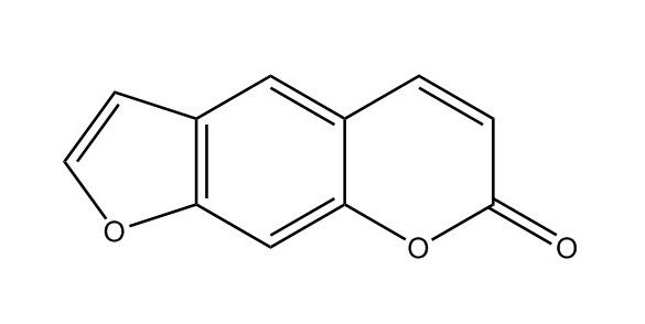 補(bǔ)骨脂素|66-97-7
