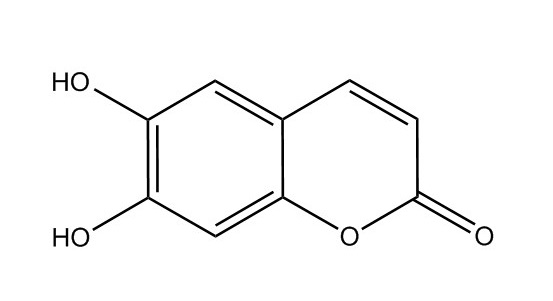 秦皮乙素|305-01-1