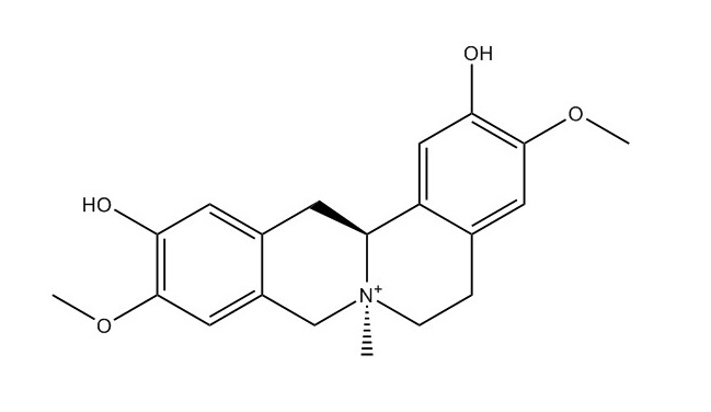 黃柏堿|6873-13-8