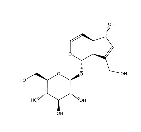 桃葉珊瑚苷|479-98-1