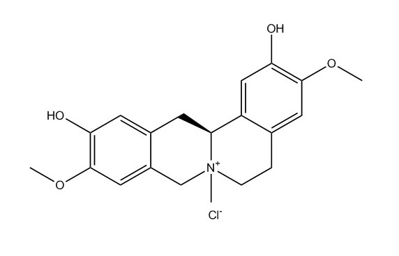 鹽酸黃柏堿|104112-82-5
