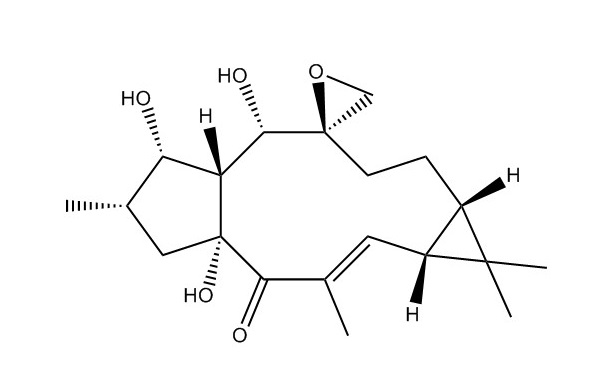 環(huán)氧續(xù)隨子醇|28649-60-7