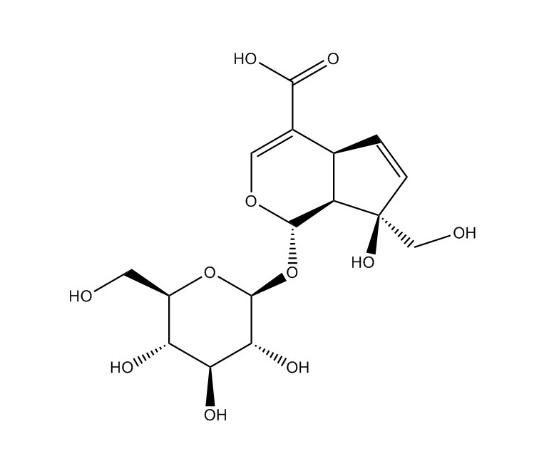 水晶蘭苷|5945-50-6