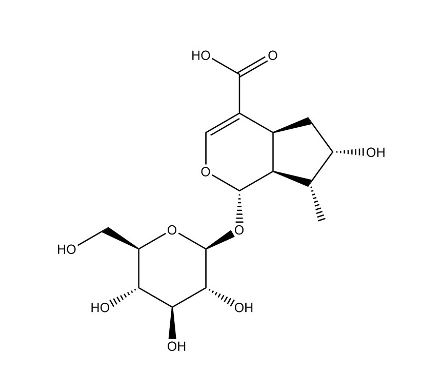 馬錢苷酸|22255-40-9