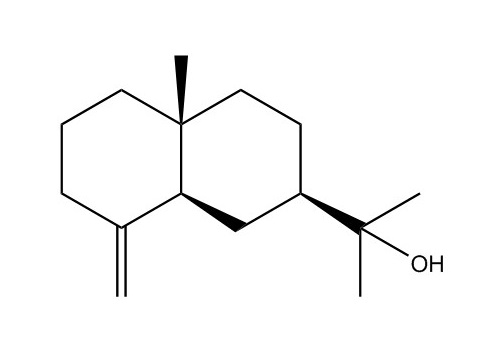 β-桉葉醇|473-15-4
