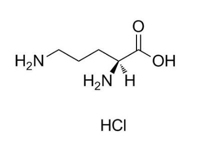 L-鳥氨酸鹽酸鹽|3184-13-2