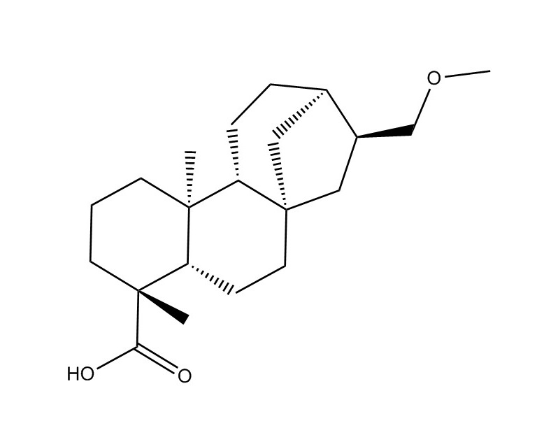 豨薟醚酸|196399-16-3