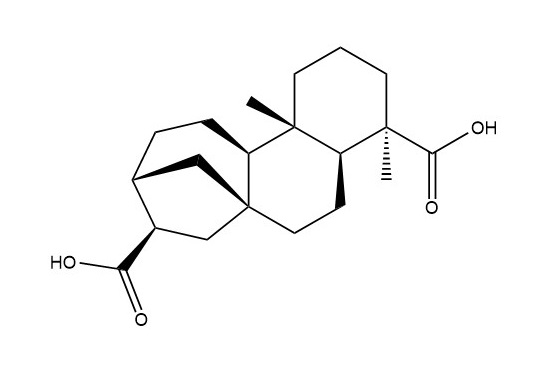 ENT-16βH-貝殼杉烷-17,19-二羧酸|60761-79-7