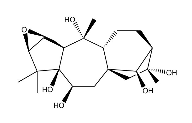 鬧羊花毒素III|26342-66-5
