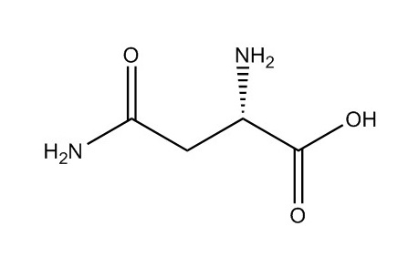 天冬酰胺|70-47-3