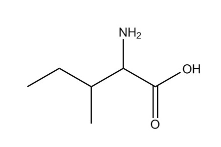 異亮氨酸|73-32-5