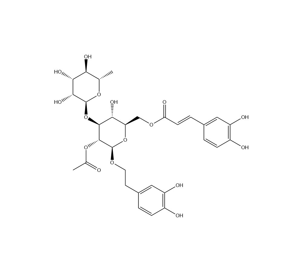 管花苷B|112516-04-8