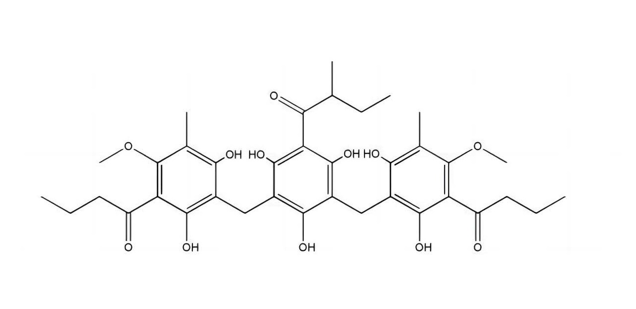 仙鶴草酚B|55576-66-4