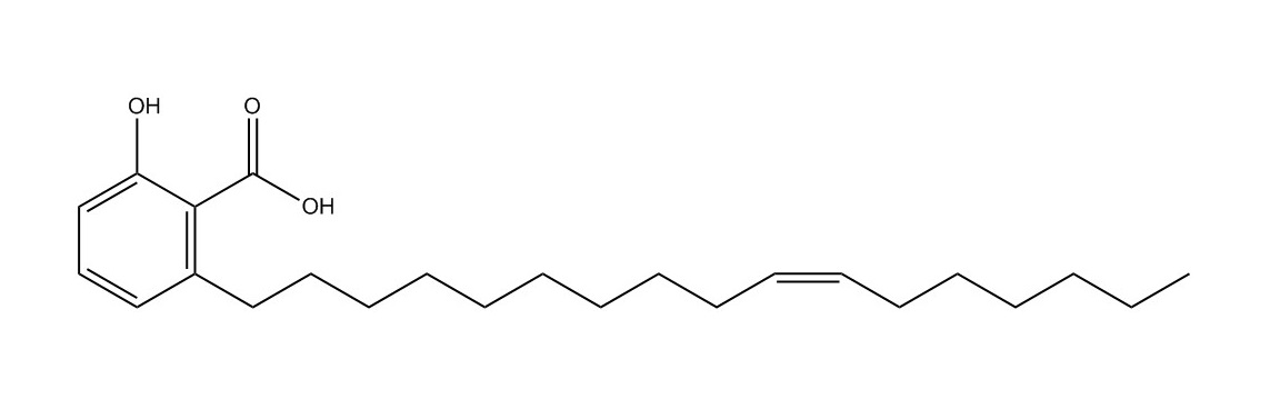 銀杏酸(C17:1)|111047-30-4