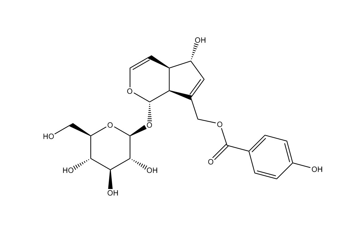 穗花牡荊苷|11027-63-7
