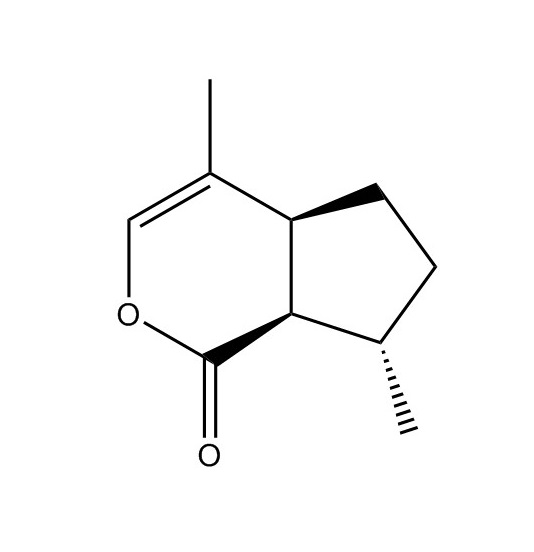荊芥內(nèi)酯|21651-62-7