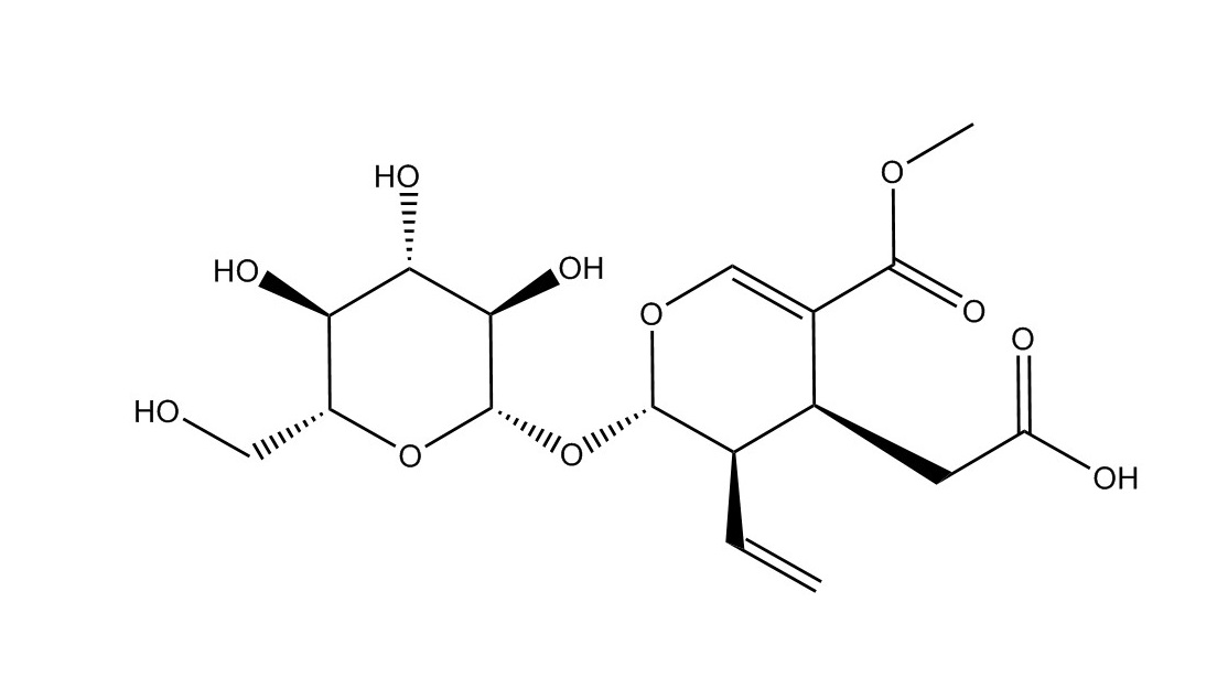 斷氧化馬錢子苷|58822-47-2