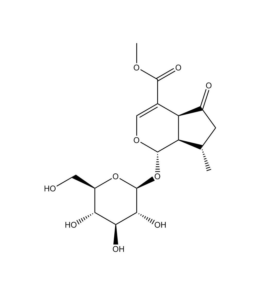 馬鞭草苷|548-37-8