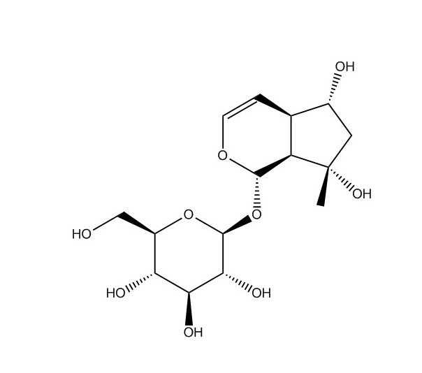 益母草苷|52949-83-4