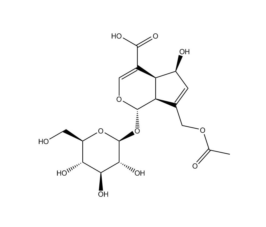 車葉草苷酸|25368-11-0