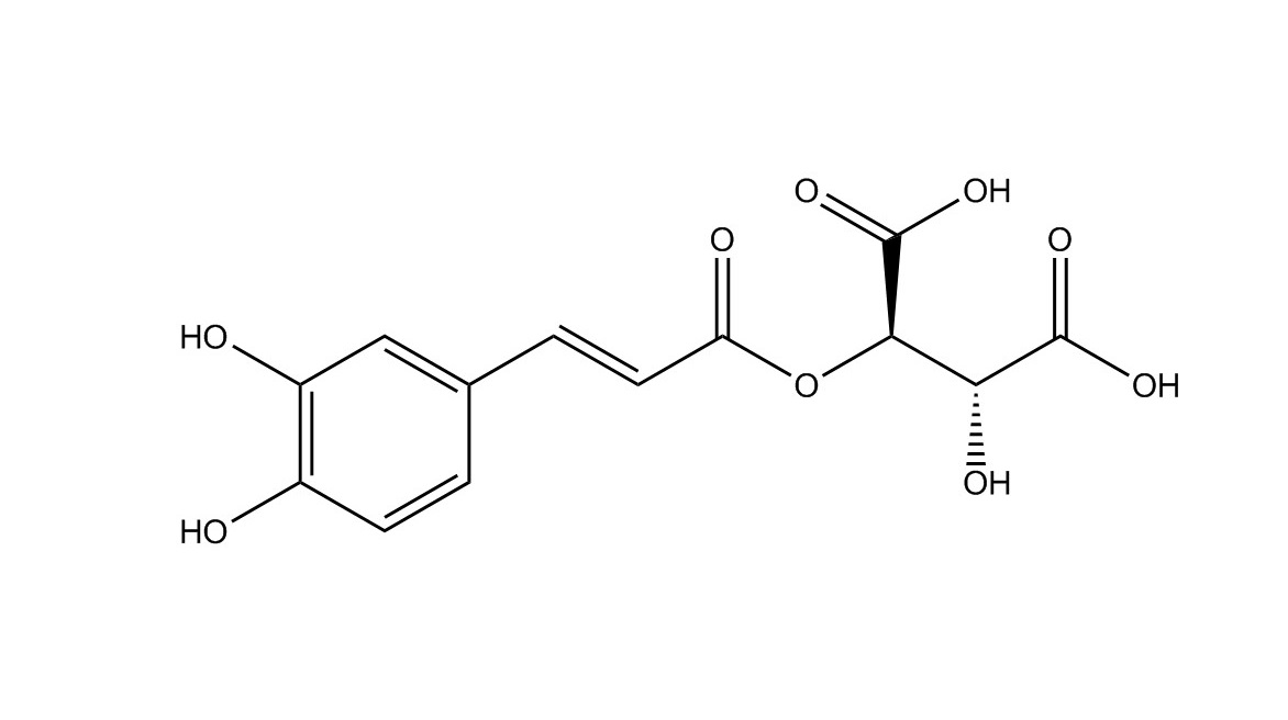 單咖啡酰酒石酸|67879-58-7